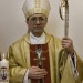 Bp_Jozef_Werth_1 Bp_Jozef_Werth_1